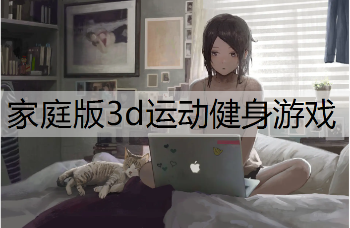 家庭版3d运动健身游戏